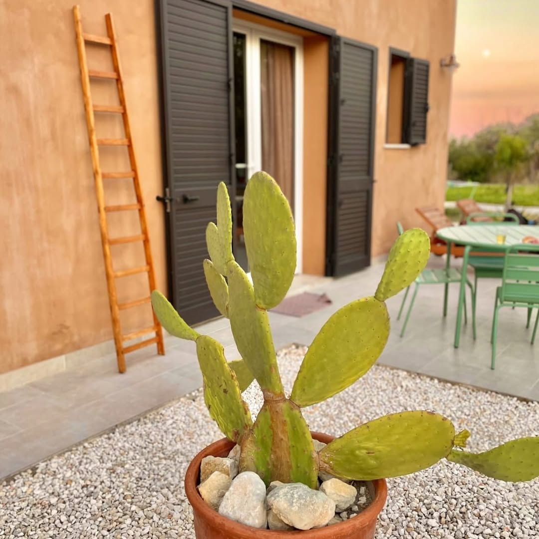 STAY IN SICILY - B&B Luccicamare